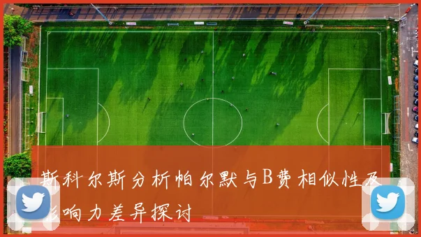 斯科尔斯分析帕尔默与B费相似性及影响力差异探讨