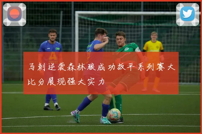 马刺逆袭森林狼成功扳平系列赛大比分展现强大实力