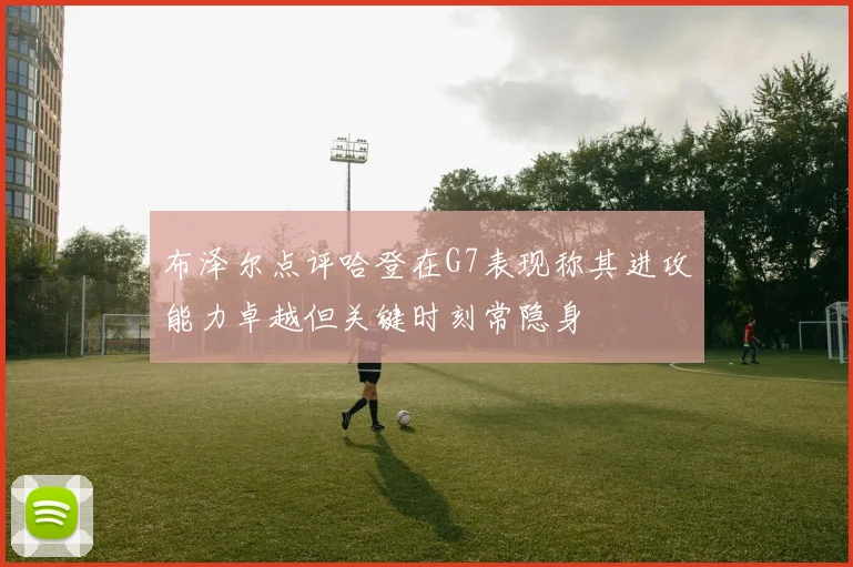 布泽尔点评哈登在G7表现称其进攻能力卓越但关键时刻常隐身